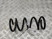 Rear coil spring