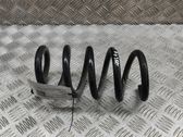 Muelle espiral trasero