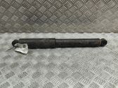 Rear shock absorber/damper