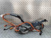 Other wiring loom