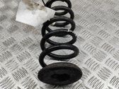 Muelle espiral trasero