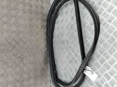 Trunk rubber seal (body)