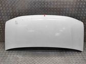 Engine bonnet/hood