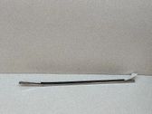 Rear door glass trim molding