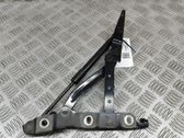 Tailgate/trunk/boot hinge