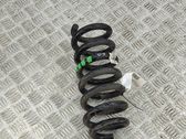 Muelle espiral trasero