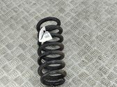 Muelle espiral trasero