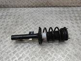 Front shock absorber/damper