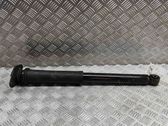 Stoßdämpfer hinten