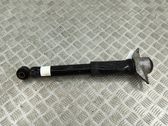 Stoßdämpfer hinten