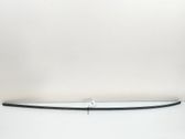 Roof trim bar molding cover