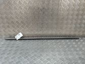 Door glass trim