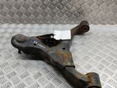 Front lower control arm/wishbone