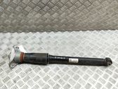 Rear shock absorber/damper