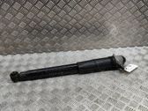 Stoßdämpfer hinten