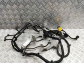Other wiring loom