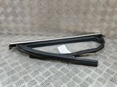 Rear door glass trim molding