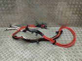 Other wiring loom