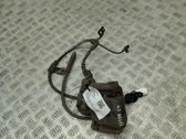 Bremssattel hinten