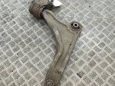 Front lower control arm/wishbone
