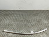 Windshield trim
