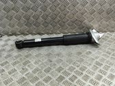 Rear shock absorber/damper