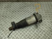 Shock absorber/damper/air suspension