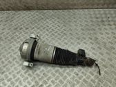 Shock absorber/damper/air suspension