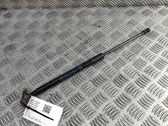 Tailgate/trunk strut/damper