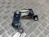 Juego de bisagras de puerta delantera