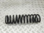 Muelle espiral trasero