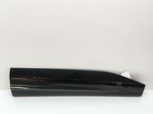 Front door trim (molding)