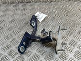 Tailgate/trunk/boot hinge
