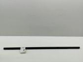 Rear door glass trim molding