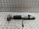 Rear shock absorber/damper