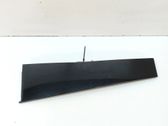 Rear door glass trim molding