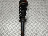 Rear shock absorber/damper