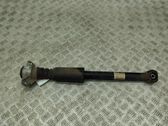 Rear shock absorber/damper