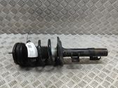 Front shock absorber/damper