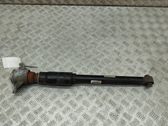 Stoßdämpfer hinten