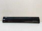 Front door trim (molding)