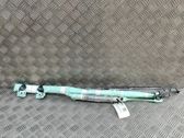 Roof airbag