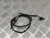 Sensor de temperatura del aceite