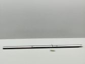 Verkleidung Türfenster Türscheibe hinten
