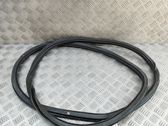 Rubber seal front coupe door