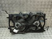 Radiator cooling fan shroud