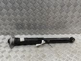 Stoßdämpfer hinten