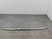 Roof bar rail