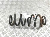 Muelle espiral trasero