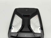 Luz del asiento delantero